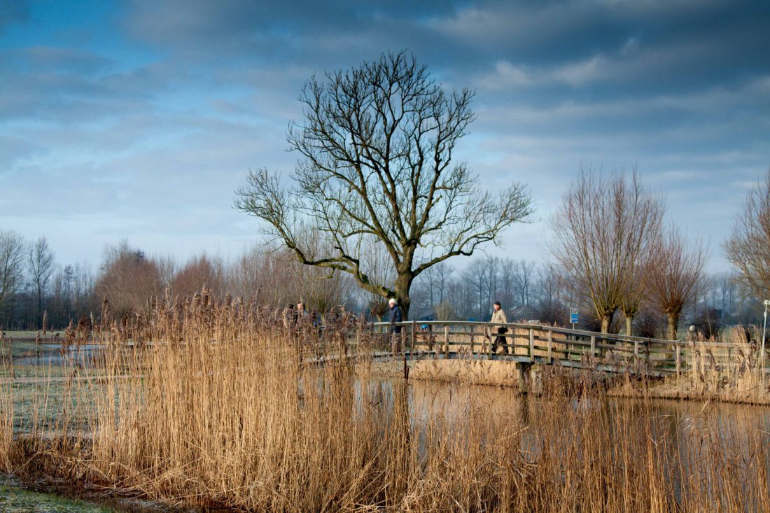 Peperbuswandeltocht Peperbuswandeltocht Zwolle