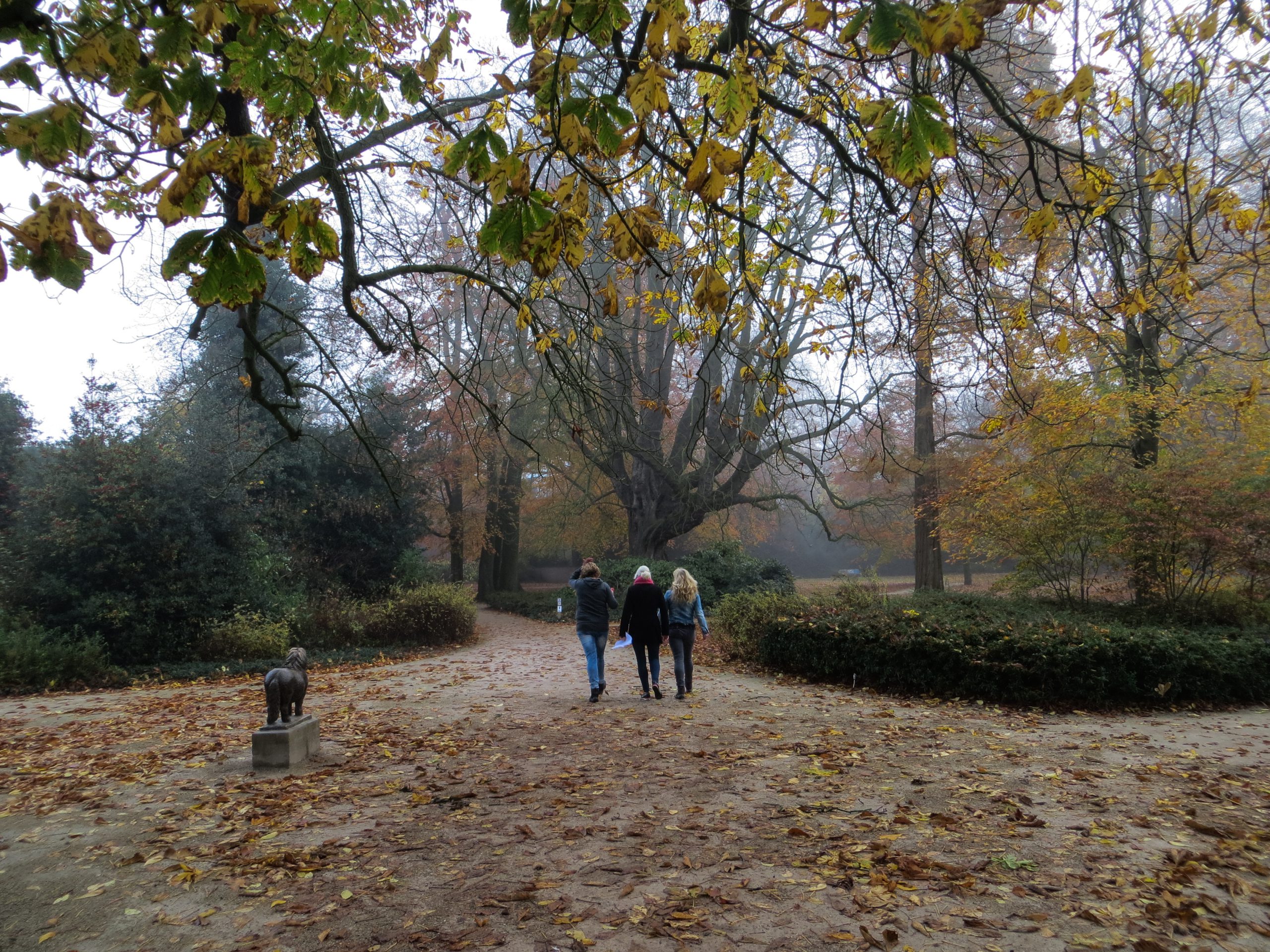 Blauwvingerwandeltocht