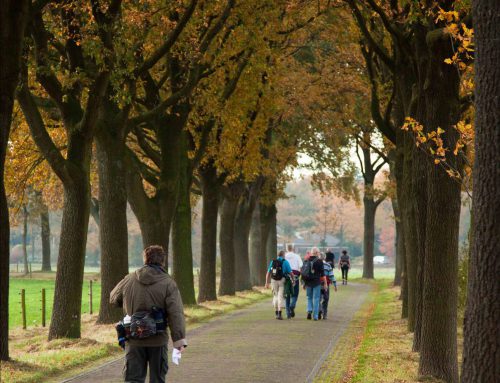 Routebouwers op pad
