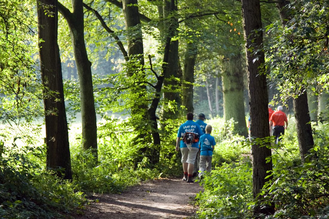 Bos- en Heidetocht Hattem