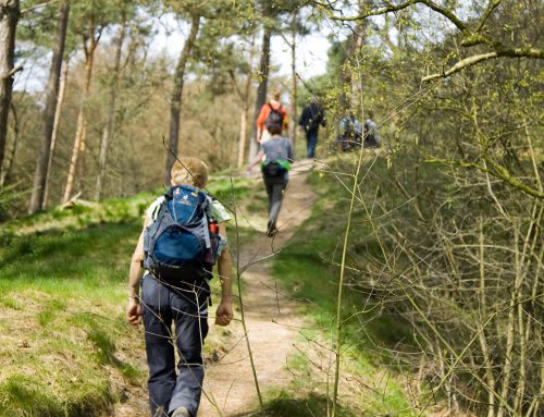 Bos- en Weidetocht in voorbereiding