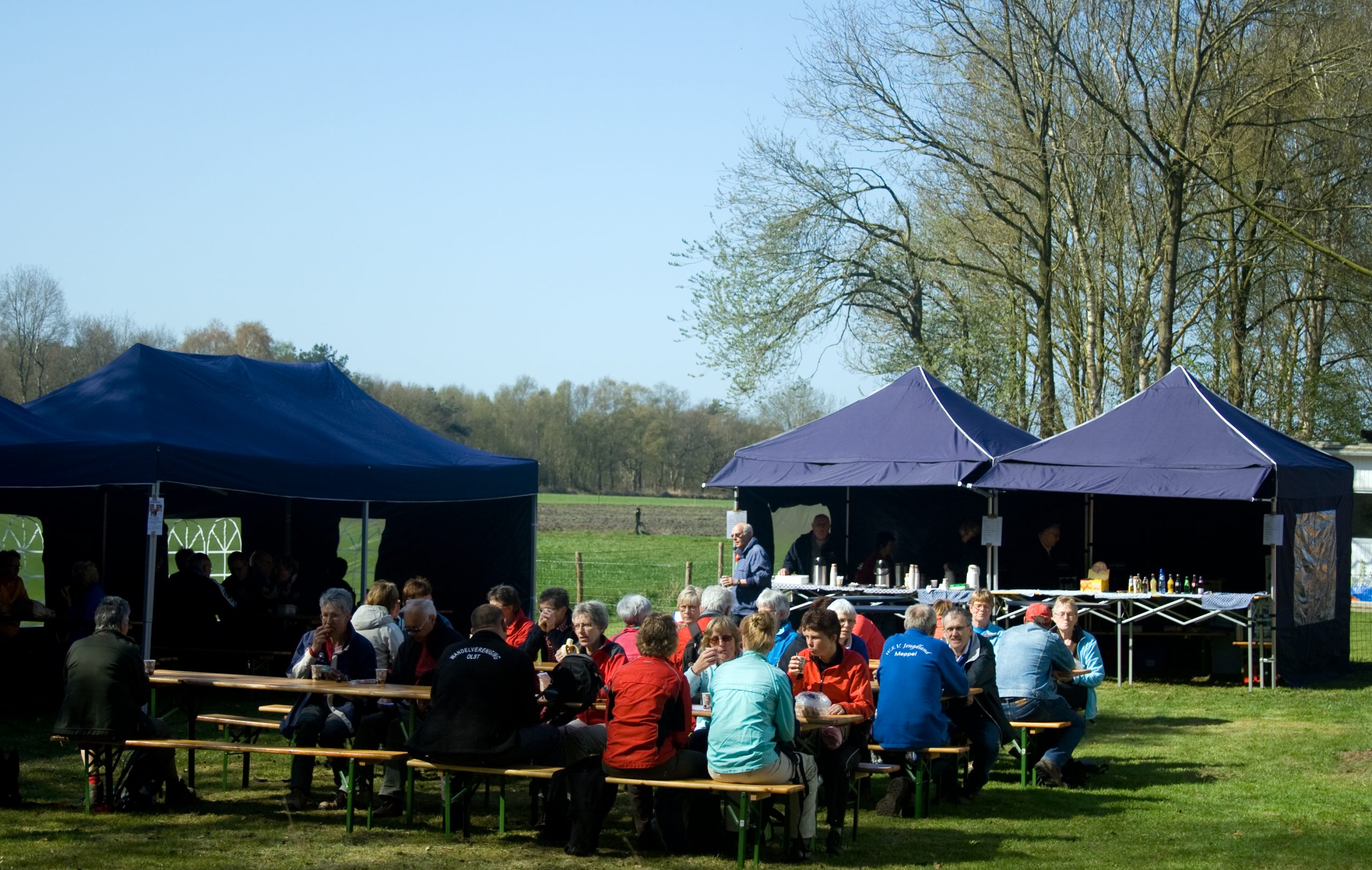 Dalfsen Bos- en weidetocht