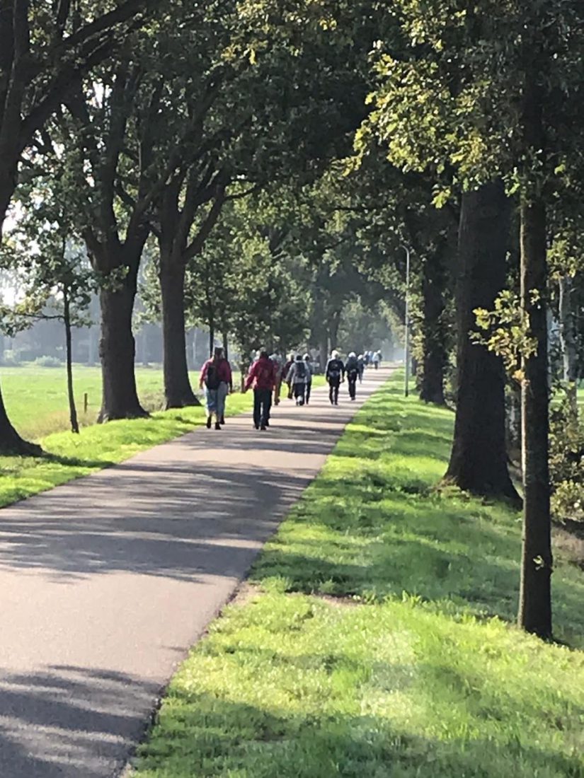 Staphorst WKZ