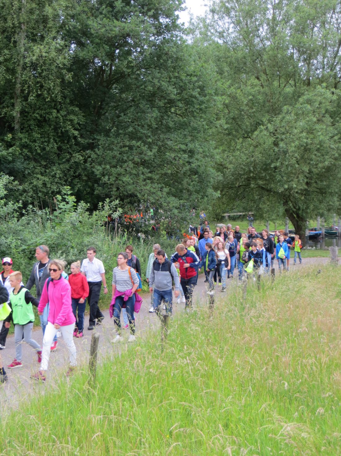 Avondvierdaagse Zwolle