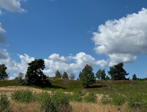Bos- en Heidetocht 12 september