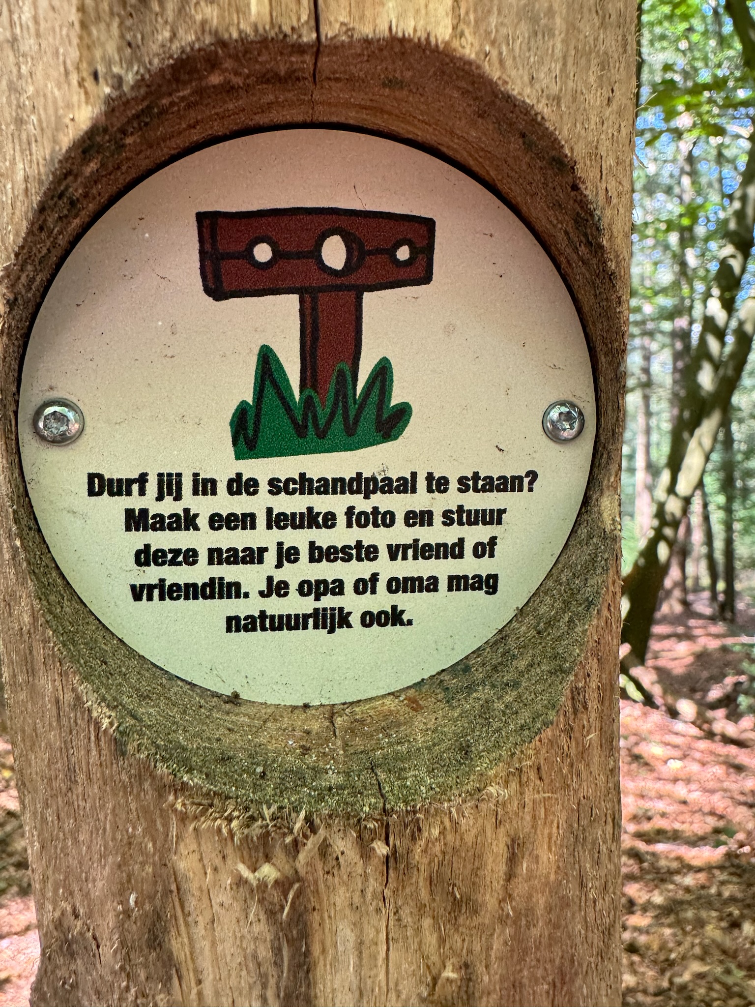 Bos- en Heidetocht Hattem