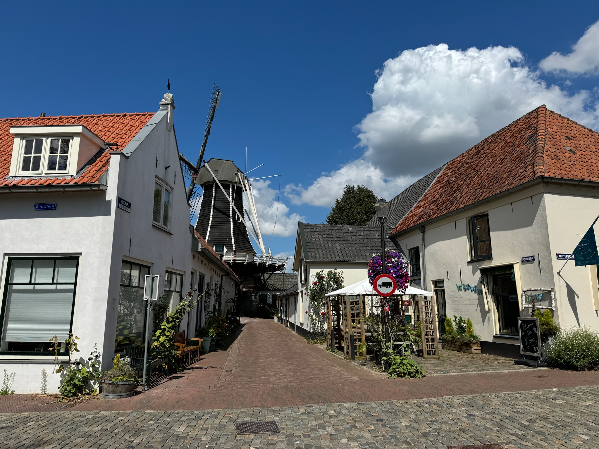 Molen Hattem Bos- en Heidetocht Hattem