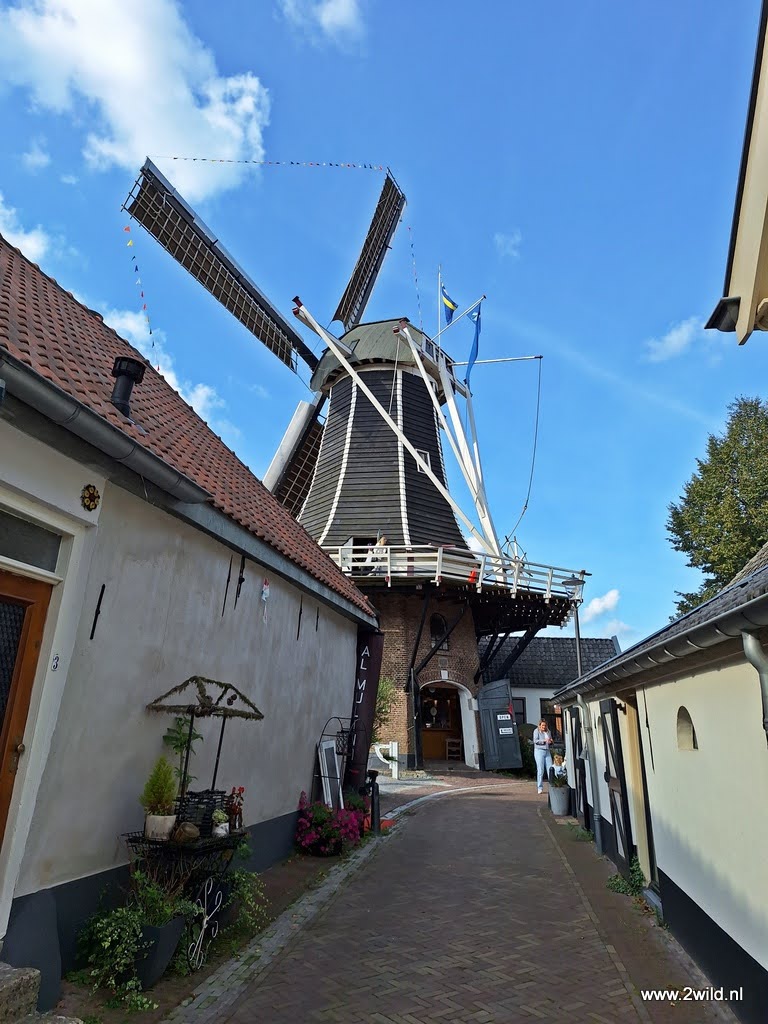 Molen Hattem Molen Hattem