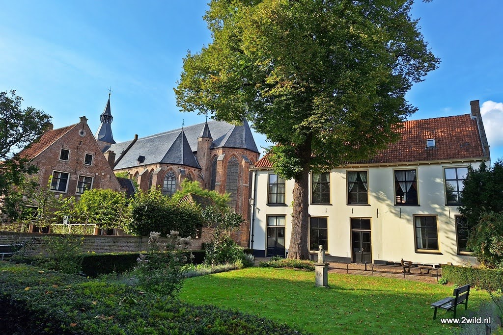 Bos- en Heidetocht Hattem Bos- en Heidetocht Hattem