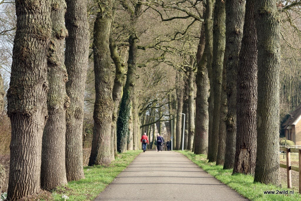 Peperbuswandeltocht 2025 Peperbuswandeltocht 2025