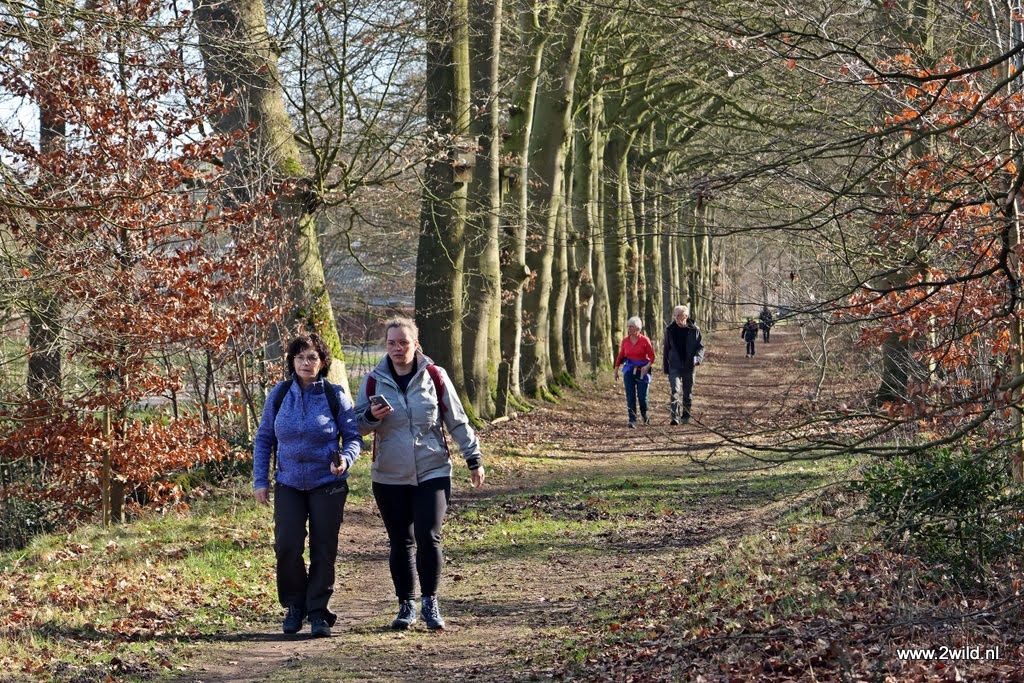 Peperbuswandeltocht 2025 Peperbuswandeltocht 2025