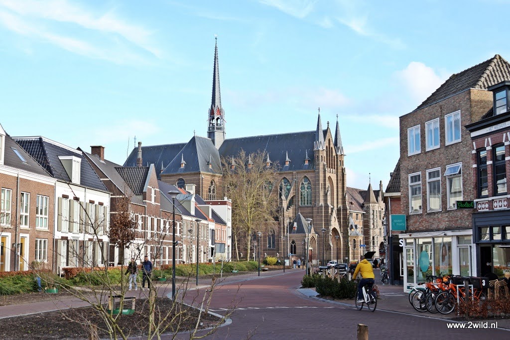 Peperbuswandeltocht 2025 Peperbuswandeltocht 2025