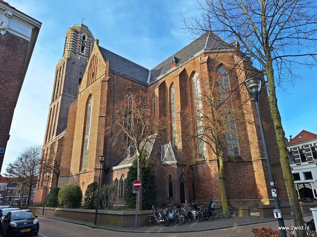 Peperbuswandeltocht 2025 Peperbuswandeltocht 2025